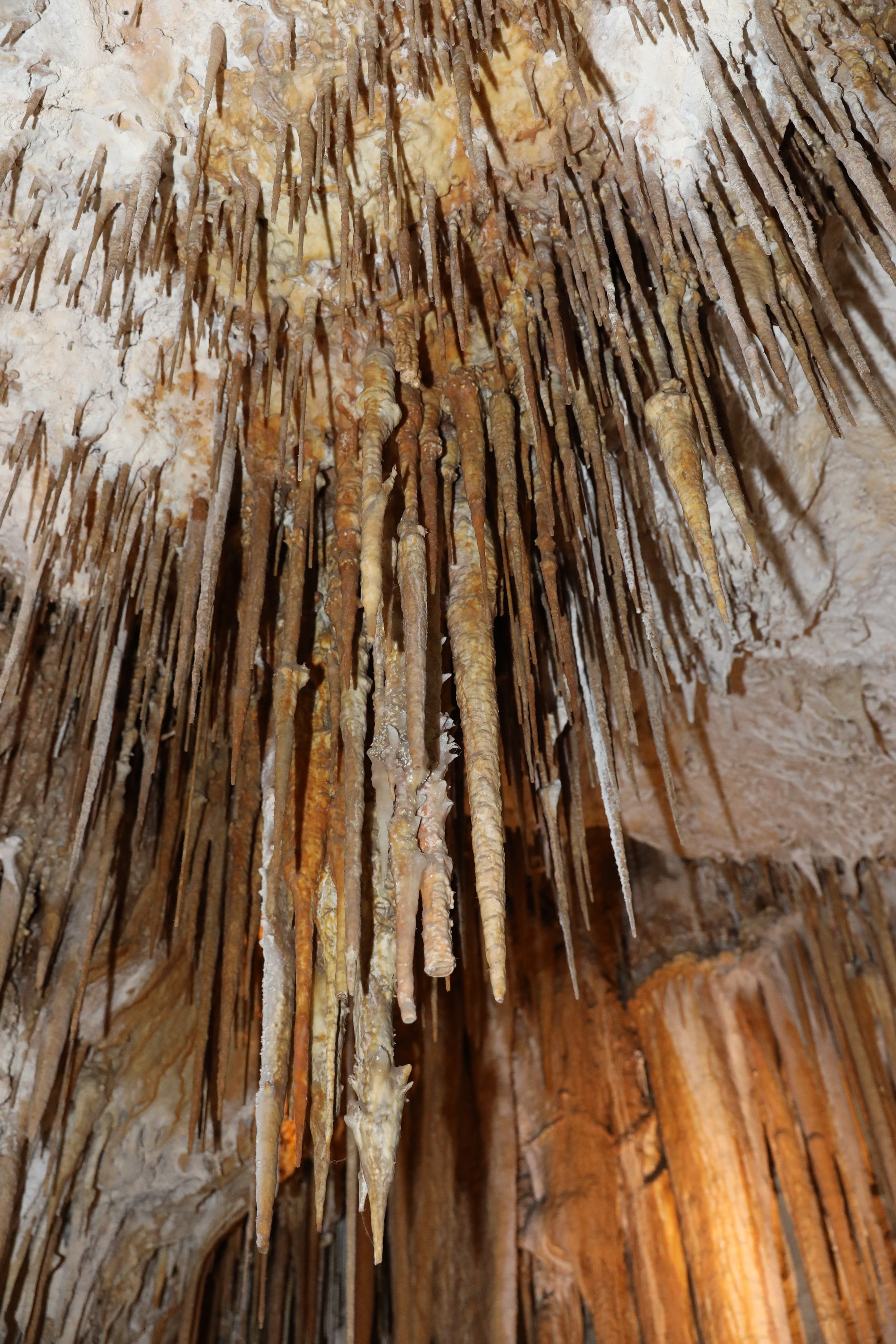 2019 09 30 12 39 03 Canon EOS 5D Mark IV 0003